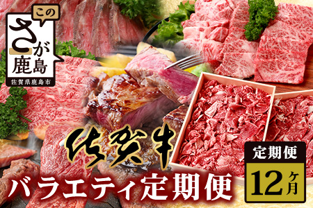 【定期便12回】佐賀牛 バラエティ 定期便 肩ロース モモ 切落し サイコロステーキ 焼肉 ローストビーフ V-48