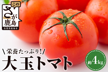 【先行予約】 たにぐちファーム 大玉トマト 4kg 【2024年2月～6月出荷】 Ricotomato とりこになるトマト Ａ-159