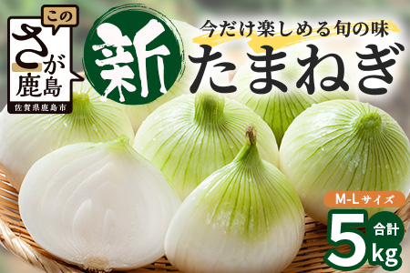 甘～い！新鮮！新たまねぎ 約5kg (MLサイズ）★大自然育ち【2025年4月より発送】生産者直送！タマネギ 玉葱 新タマ 新玉ねぎ サラダ 惣菜 お料理 ストック 箱買 美味しい 甘い 常備野菜 佐賀県 鹿島市産 人気 送料無料 A-180