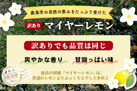 【訳あり】【先行予約】【産地直送】【農家直送】佐賀県鹿島市産 マイヤーレモン 5kg サイズ混合 酸味 美味しい お酒 生絞り 料理 お菓子 家庭用 【９月～2月頃まで配送】 A-191