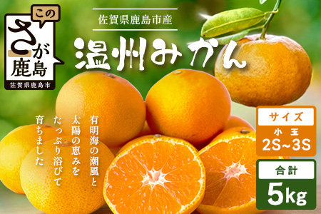 温州みかん 小玉(SS,3S)5kg　A-205