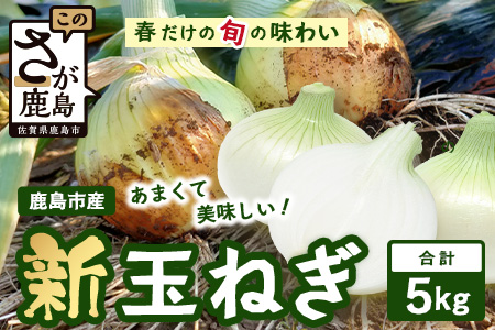 【予約受付】鹿島市産 新玉ねぎ 合計5kg A-207 たまねぎ 玉葱 サラダ 料理【2026年4月中旬より順次発送】