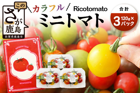 【先行予約】 カラフルミニトマト 【少量パック】 120gx3p　たにぐちファーム カラフルミニトマト 360g とりこになるトマト 野菜 とまと トマト リコピン 佐賀産 佐賀県 鹿島市　A-211 カラフルミニトマト 【少量パック】 120gx3p
