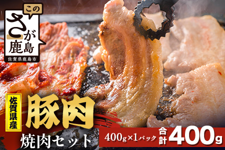 【配送月指定対応可】佐賀県産 豚肉 焼肉セット 400g A-221 お肉 豚 肉 焼き肉 やきにく 年内発送 年末配送 ロース バラ スライス