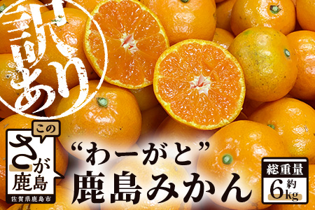 【先行予約】（2026年11月上旬～発送）”わーがと”鹿島産がばい訳アリみかん 約6kg【サイズ別】【期日指定不可】国産 佐賀県産 ミカン 蜜柑 果物 フルーツ AA-39
