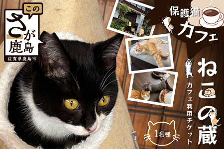 保護猫カフェねこの蔵 カフェ利用チケット｜保護猫カフェ 猫 古民家カフェ チケット 保護猫 支援 鹿島市 猫カフェ カフェ　AA-61