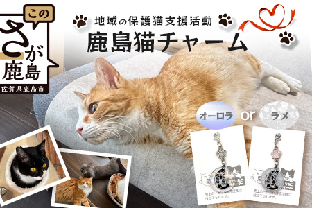 鹿島猫チャーム｜保護猫カフェねこの蔵 チャーム 保護猫 猫 古民家カフェ 支援 鹿島市 猫カフェ カフェ プレゼント　AA-64