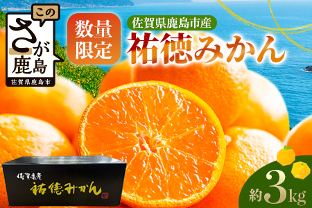 B-100 【数量限定】みかん 約3kg 化粧箱入り 祐徳みかん | ふるさと納税 温州みかん フルーツ 果物 ギフト 贈答 ミカン 蜜柑 柑橘 くだもの 果実 国産 佐賀県 鹿島市 ふるさと 人気 送料無料 【10月下旬～12月頃発送予定】