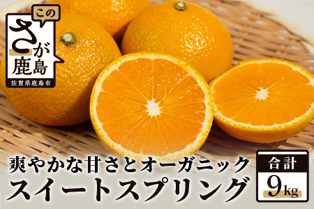 【先行予約】 オーガニック スイートスプリング 約9kg 有機栽培 柑橘 B-112