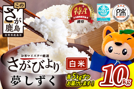 B-119 令和7年産 佐賀県産 さがびより 夢しずく 白米 合計10kg (5kg×2種) お米マイスター厳選 ふるさと納税 佐賀県 鹿島市