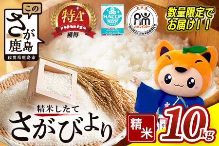さがびより 新米 令和7年産 佐賀県産 10kg 白米【15年連続 特A評価】B-20  白米【10kg】