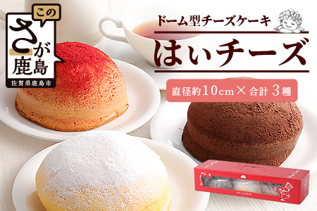 ふわふわのドーム型ケーキ「はいチーズ」3種セット【チーズケーキ お祝い パーティ 年始 年賀 大晦日 年末 贈り物 プレゼント贈答 スフレ チョコケーキ イチゴ】　【バレンタイン・ホワイトデー対応可】
