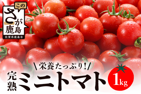 【先行予約】 たにぐちファーム 完熟ミニトマト 約1kg 『Ricotomato とりこになるトマト』 B-324