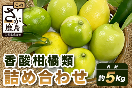 B-366 香酸柑橘類セット （リスボンレモン・キノス・げんこう・ライム）【約5kg 】メディアも注目の柑橘類の名人直送！かんきつ 柑橘 檸檬 れもん レモン 木酢 げんこう 薬味風味付け 国産 九州産 鹿島市産 佐賀県 鹿島市