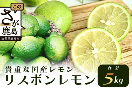 B-367リスボンレモン【約5kg】メディアも注目の柑橘類の名人直送！レモン れもん 檸檬 果物 生搾り 料理 菓子 サワー お酒 国産 佐賀県鹿島市産 人気
