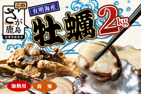 B-376 有明海産 養殖牡蠣2kg 冬季限定｜殻付き生牡蠣｜加熱調理用｜新鮮 佐賀県産 カキ【レンジで簡単調理】お正月 夕食 おつまみ おかず 佐賀県 鹿島市 人気