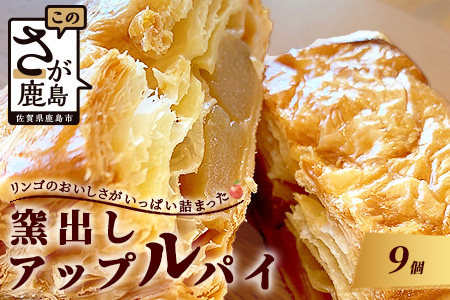 B-413　窯出しアップルパイ９個入り