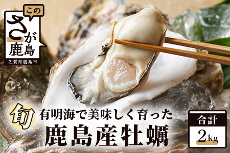 鹿島産 牡蠣 約2kg(殻付き)【加熱調理用】品種(スミノエ)