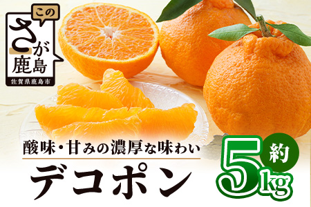 予約受付 基準クリアの高級柑橘【デコポン】約5kg 不知火 しらぬい でこぽん みかん 蜜柑 ミカン オレンジ 柑橘 フルーツ 果物 贈り物 贈答 プレゼント 高級 ブランド 限定 ギフト B-672