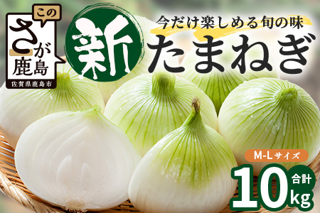  甘～い！新鮮！新たまねぎ 約10kg (MLサイズ）★大自然育ち【2025年4月より発送】生産者直送！タマネギ 玉葱 新タマ 新玉ねぎ サラダ 惣菜 お料理 ストック 箱買 美味しい 甘い 常備野菜 佐賀県 鹿島市産 人気 送料無料　B-737