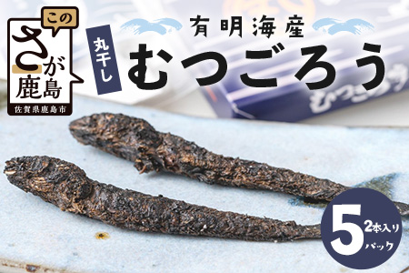 佐賀県鹿島市産　有明海　丸干しむつごろう　2本入り×5袋セット　B-762