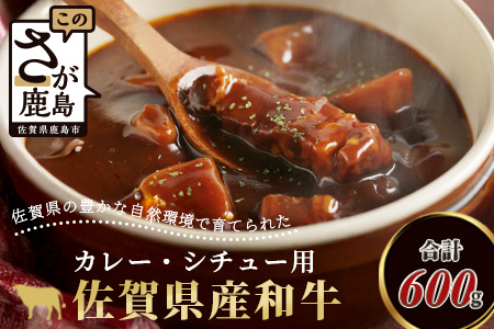 B-81 ＼生活応援／佐賀産 和牛 カレー・シチュー用 600g 佐賀産和牛 肉 佐賀 牛肉 佐賀県 鹿島市 冷凍 送料無料 人気