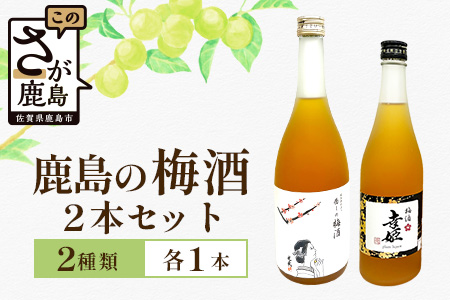 【梅酒セット】鹿島の梅酒2本セット 【光武 癒しの梅酒 720ml 1本】・【幸姫梅酒 500ml 1本】[梅酒 うめ酒 セット 梅酒セット 2本 お酒 酒 梅 梅果肉 すっきり 酸味 おすすめ 人気 送料無料] B-811