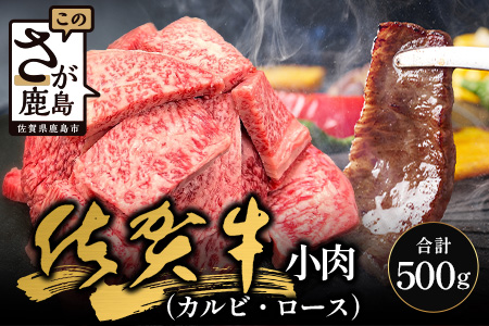 佐賀牛 焼肉 セット 小肉 500g ( カルビ ロース ) 黒毛和牛 詰め合わせ 焼肉セット B-840