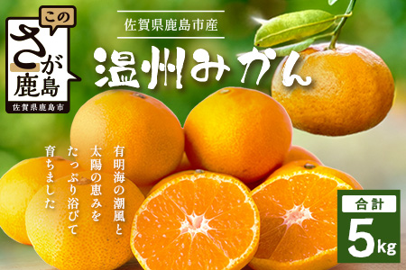 温州みかん 5kg　B-841