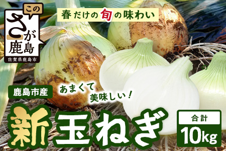 【予約受付】鹿島市産 新玉ねぎ 合計10kg B-842 たまねぎ 玉葱 サラダ 料理【2026年4月中旬より順次発送】