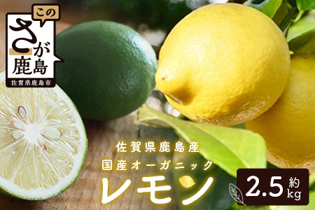 国産 オーガニックレモン 約2.5kg レモン 檸檬 B-91