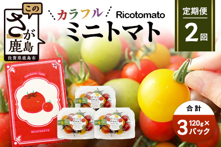 【2回定期便】【先行予約】 カラフルミニトマト 【少量パック】120gx3p　たにぐちファーム カラフルミニトマト 360g とりこになるトマト 野菜 とまと トマト リコピン 佐賀産 佐賀県 鹿島市　C-147 カラフルミニトマト 【2回定期便】