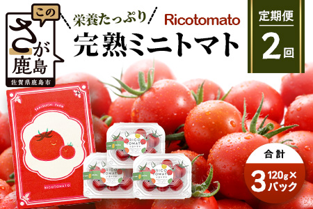 【2回定期便】【先行予約】完熟ミニトマト 【少量パック】120gx3p　たにぐちファーム 完熟ミニトマト 360g とりこになるトマト 野菜 とまと トマト リコピン 佐賀産 佐賀県 鹿島市　C-148 完熟ミニトマト 【2回定期便】