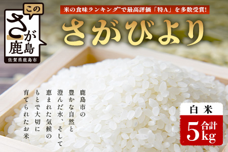【鹿島市産】＼生産者直送／ さがびより 白米5kg　さがびより 佐賀県産さがびより 佐賀県鹿島市 お米 米 精米 玄米 ふるさと納税 お米 ご家庭用米 主食ギフト 美味しいお米 お取り寄せ 贈答用米 食卓応援　C-153  白米5kg
