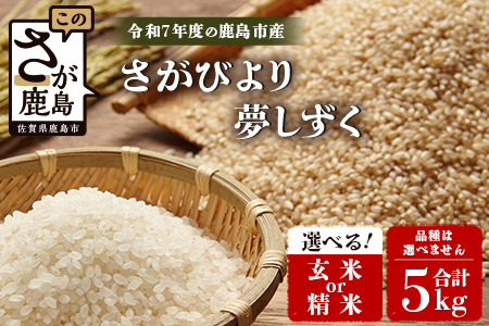 令和7年産 鹿島市産 [さがびよりor夢しずく] 5kg 1袋 【品種指定不可】 玄米 精米 10月初旬から発送開始予定　C-154