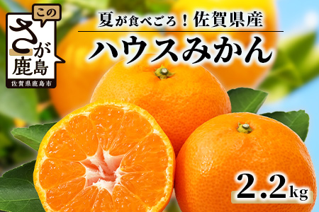 C-28 高級 JA ハウスみかん（2.2kg）【化粧箱入】【2025年8月上旬頃まで発送予定】夏にしか味わえない期間限定の美味しいハウスみかん★ 蜜柑 ミカン 果物 フルーツ くだもの  甘い 絶品 安全安心 新鮮 人気 大好評 おすすめ   佐賀県 鹿島市 送料無料