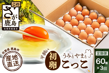 【定期便】たまご 佐賀鹿島産 平飼い初卵「うみとやまとこっこ」 上田養鶏場 たまご60個×3回 タマゴ 玉子D-117 60個×3回