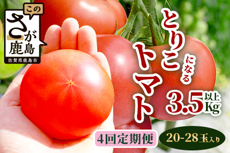 【先行予約】 たにぐちファーム とりこになるトマト 【3.5kg以上×4回定期便】【2025年12月から出荷】Ricotomato とりこになる トマト [定期便 野菜定期便 定期 野菜 トマト 新鮮 サラダ 生野菜 とまと おすすめ 送料無料] D-160