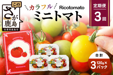 【3回定期便】【先行予約】 カラフルミニトマト 【少量パック】 120gx3p　たにぐちファーム カラフルミニトマト 360g とりこになるトマト 野菜 とまと トマト リコピン 佐賀産 佐賀県 鹿島市　D-241 カラフルミニトマト 【3回定期便】