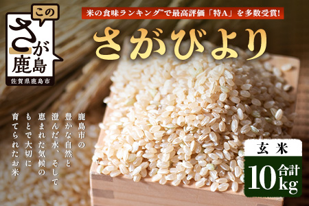 【鹿島市産】＼生産者直送／ さがびより 玄米10kg　さがびより 佐賀県産さがびより 佐賀県鹿島市 お米 米 精米 玄米 ふるさと納税 お米 ご家庭用米 主食ギフト 美味しいお米 お取り寄せ 贈答用米 食卓応援　D-249 玄米10kg