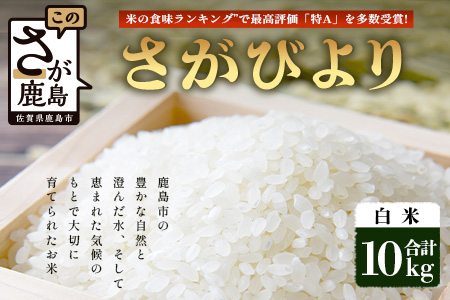 【鹿島市産】＼生産者直送／ さがびより 白米10kg　さがびより 佐賀県産さがびより 佐賀県鹿島市 お米 米 精米 玄米 ふるさと納税 お米 ご家庭用米 主食ギフト 美味しいお米 お取り寄せ 贈答用米 食卓応援　D-250 白米10kg