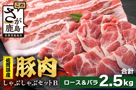 【配送月指定対応可】佐賀県産 豚肉 しゃぶしゃぶセット ロース バラ スライス 合計2.5kg D-259 お肉 しゃぶしゃぶ