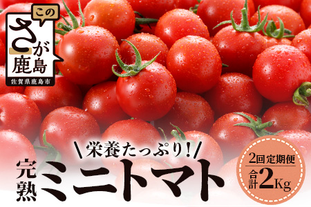 【先行予約】【2026年1月から出荷】 完熟ミニトマト『Ricotomato』 【1kg×2回定期便】 D-93