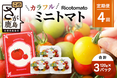 【4回定期便】【先行予約】 カラフルミニトマト 【少量パック】 120gx3p　たにぐちファーム カラフルミニトマト 360g とりこになるトマト 野菜 とまと トマト リコピン 佐賀産 佐賀県 鹿島市　E-159 カラフルミニトマト 【4回定期便】