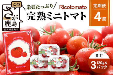 【4回定期便】【先行予約】完熟ミニトマト 【少量パック】120gx3p　たにぐちファーム 完熟ミニトマト 360g とりこになるトマト 野菜 とまと トマト リコピン 佐賀産 佐賀県 鹿島市　E-160 完熟ミニトマト 【4回定期便】