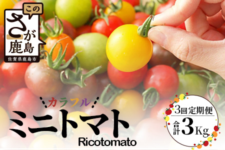 【先行予約】 カラフルミニトマト『Ricotomato』 【1kg×3回定期便】 【2026年1月から出荷】 E-58