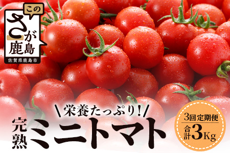 【先行予約】【2026年1月から出荷】 完熟ミニトマト『Ricotomato』 【1kg×3回定期便】 E-68