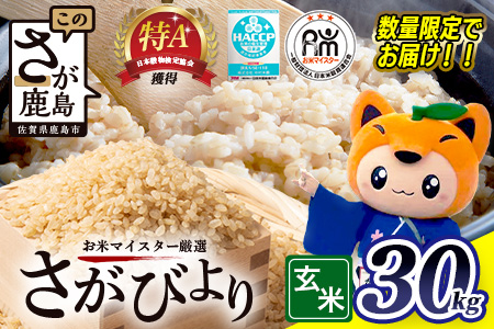 【令和7年産 さがびより】 玄米 30kg × 1袋 | ふるさと納税 米 お米 新米 精米 国産 佐賀県 鹿島市 ふるさと 人気 送料無料 F-10