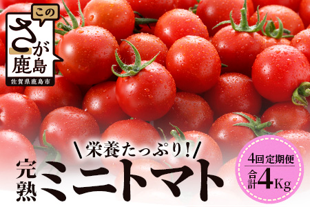 【先行予約】【2026年1月から出荷】 完熟ミニトマト『Ricotomato』 【1kg×4回定期便】F-32