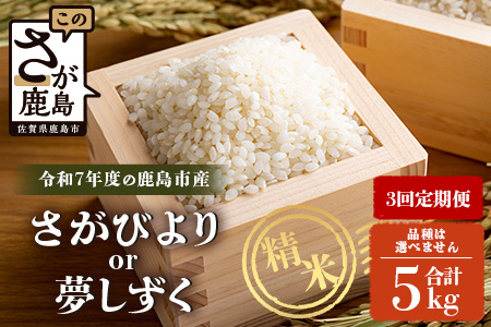 【3回定期便】令和7年産 鹿島市産 [さがびよりor夢しずく] 5kg 1袋 ×3ヶ月【品種指定不可】 玄米 精米　F-92
